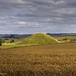 Silbury Hill Wheatfield