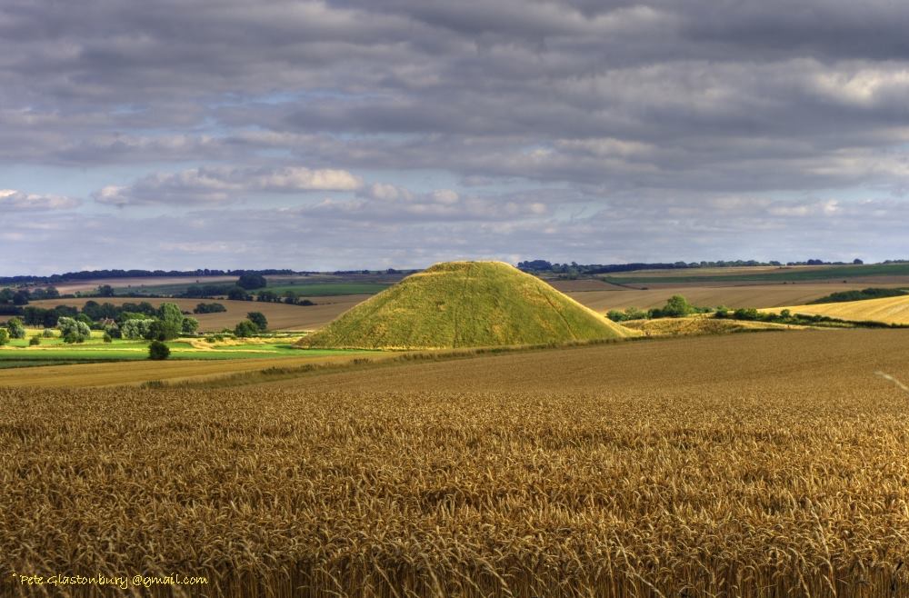 Silbury Hill Wheatfield
