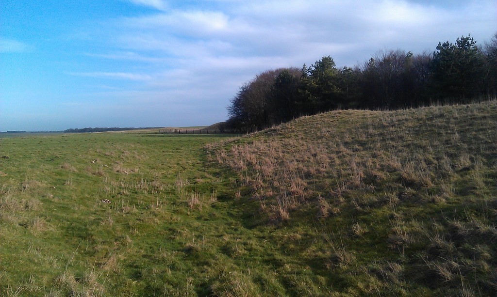 Winterbourne Stoke Long barrow