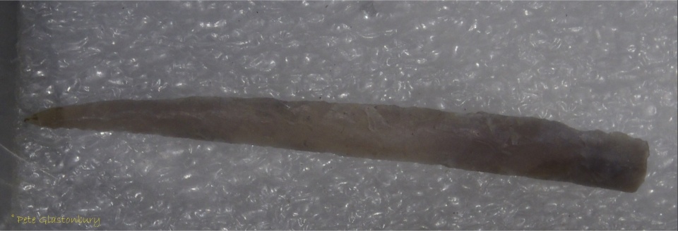 Marden Henge barb 2015