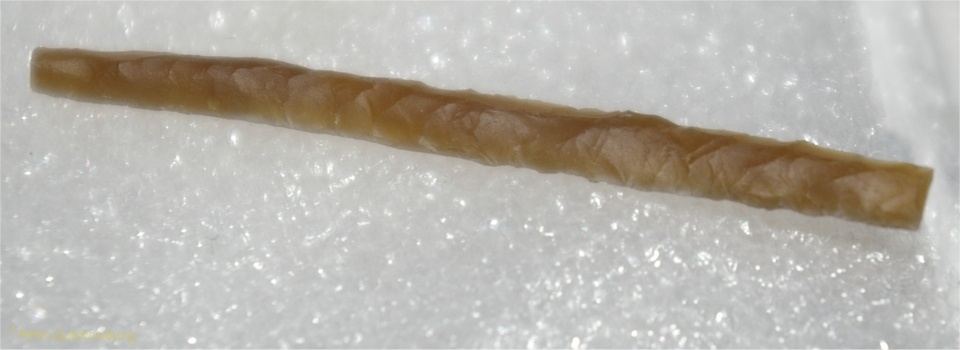 Marden Henge barb 2010