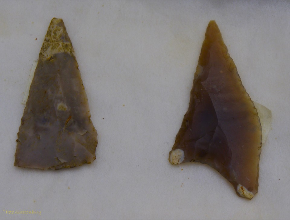 Marden Henge arrowheads