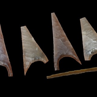 Marden Henge and Wlsford Henge Arrowheads