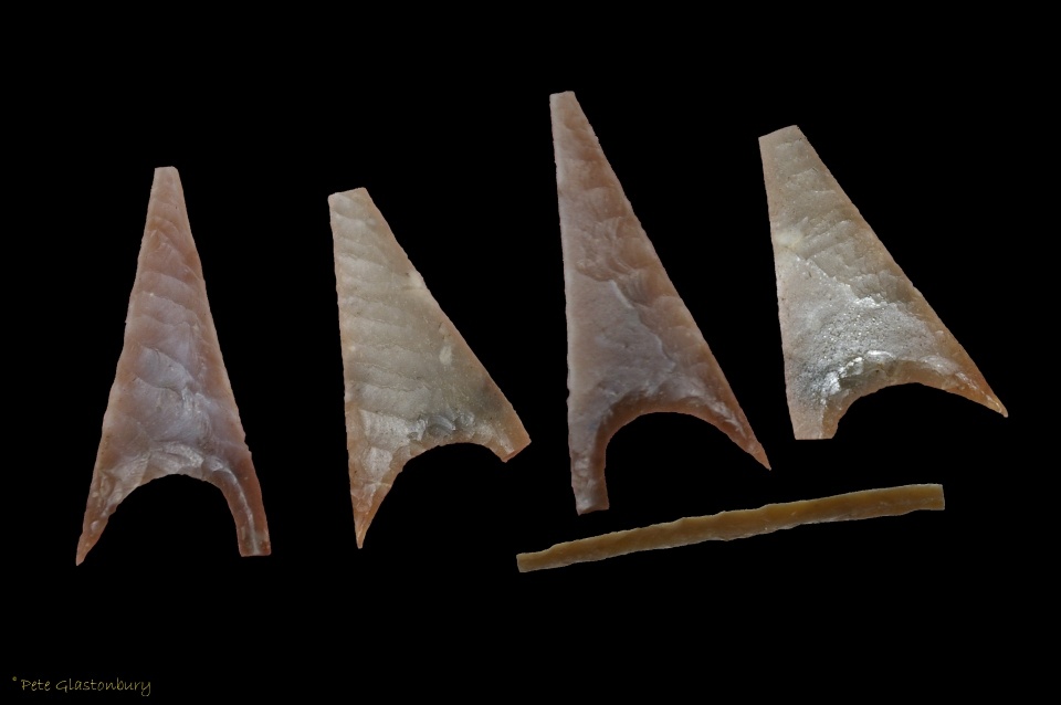 Marden Henge and Wlsford Henge Arrowheads