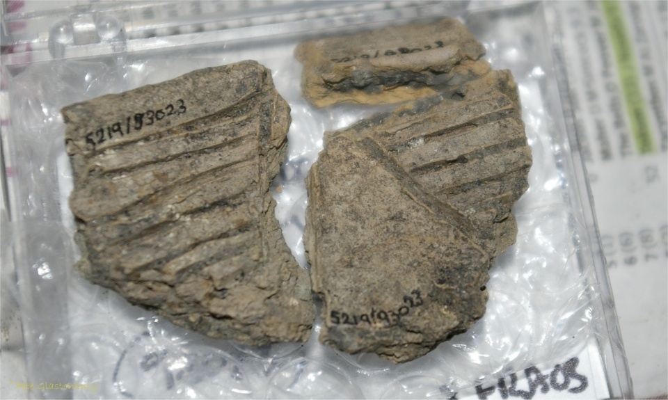 Marden Henge grooved ware