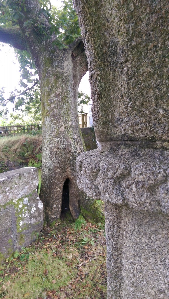 St Cleer holy well