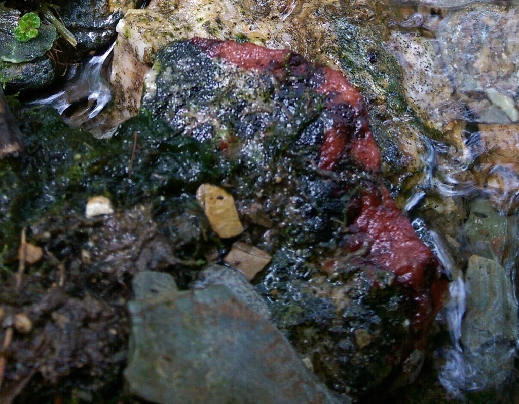 Trevillet River red stone.