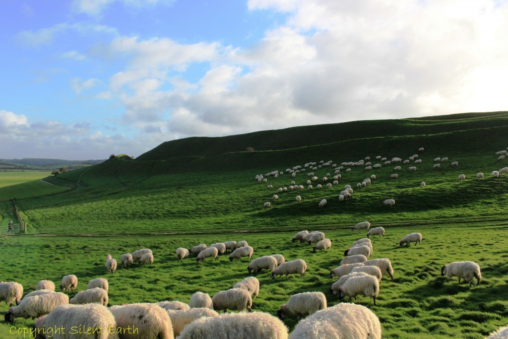 Maiden castle