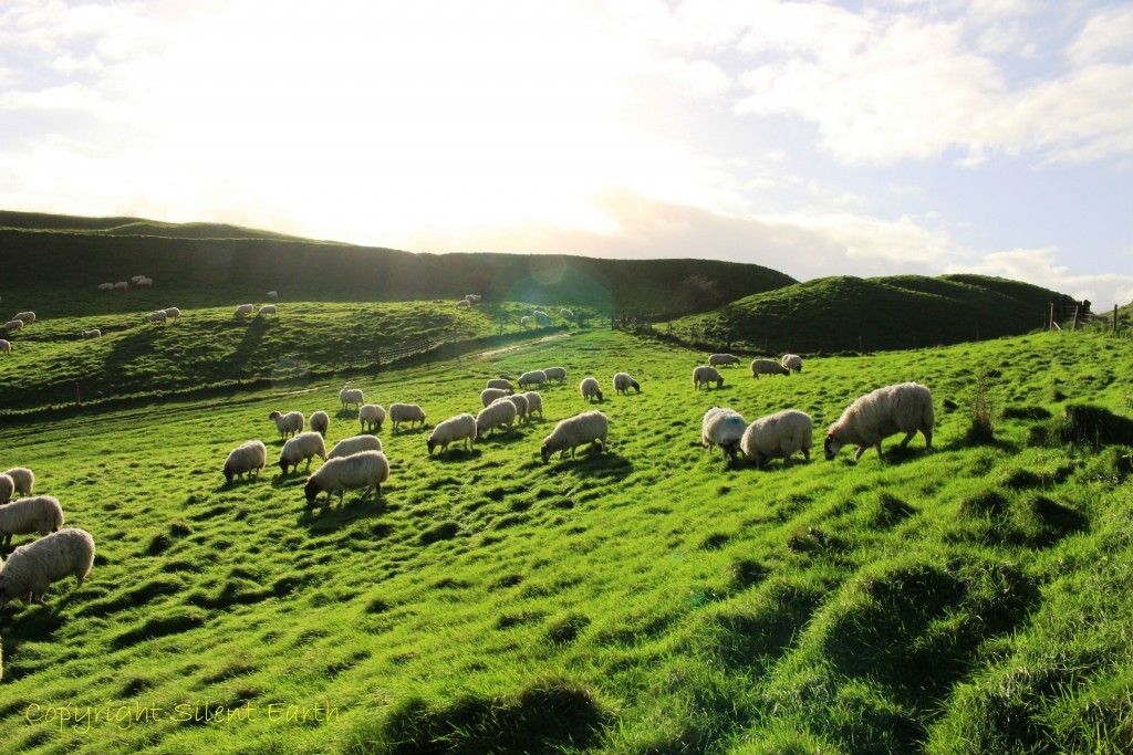 Maiden castle Dorset