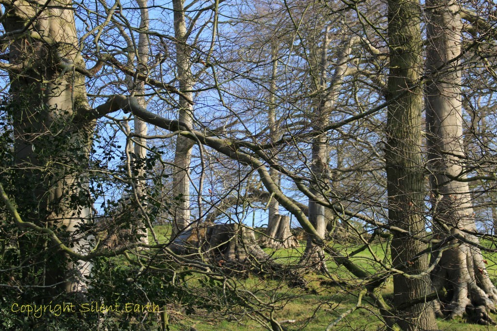 Glastonbury Tor