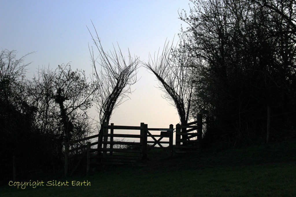 Glastonbury Tor