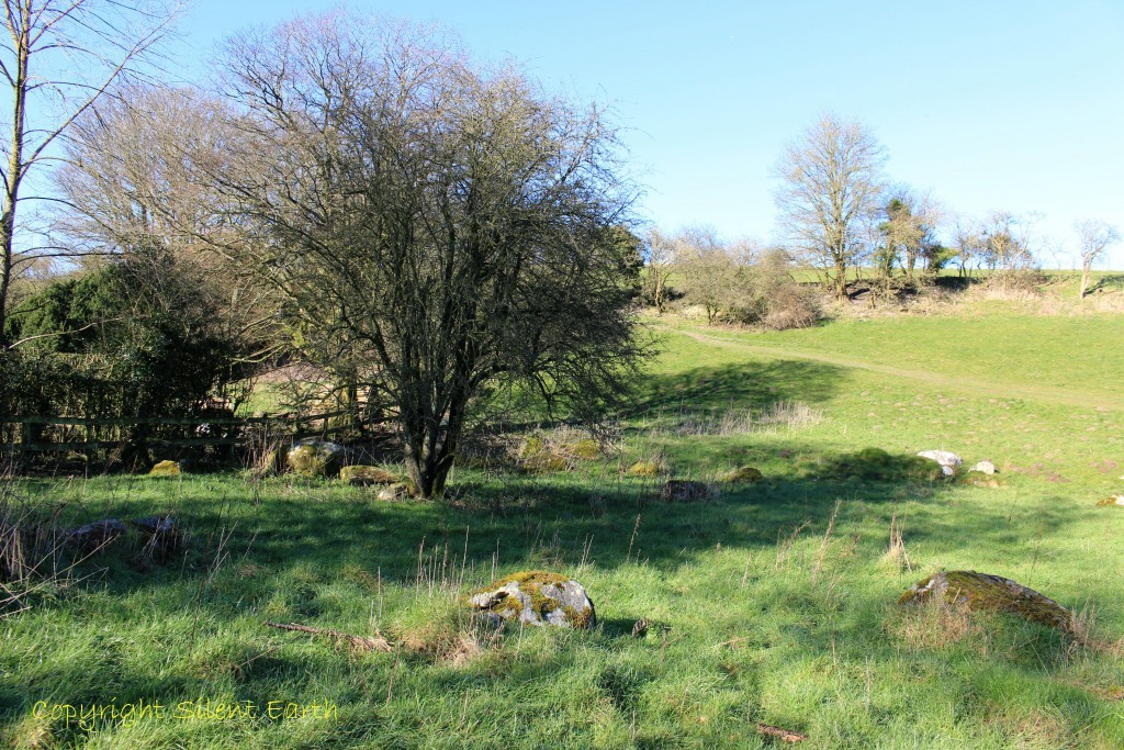 The Sarsen Stones of Stonehenge