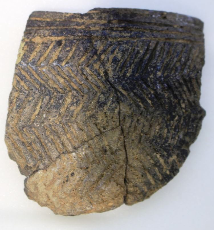 Hengistbury Head Grooved Ware Pottery
