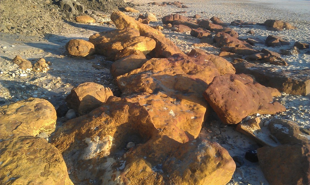 Ironstone doggers at Hengistbury Head