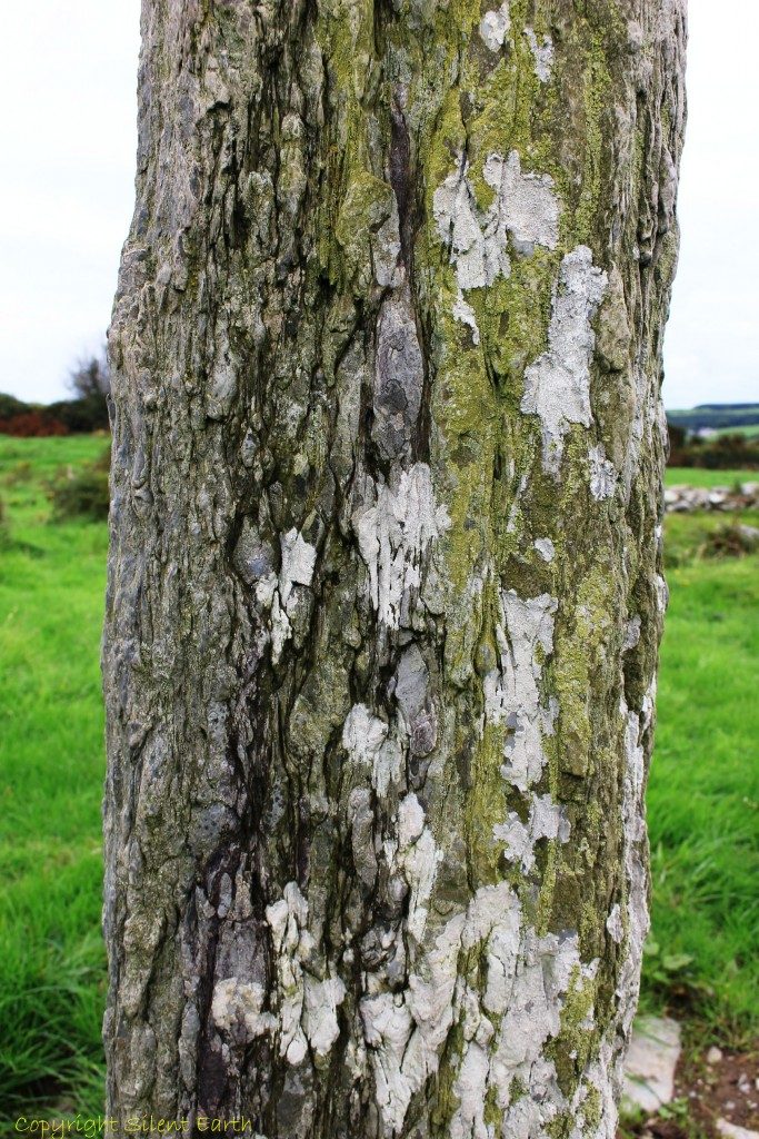 Templebrien ogham stone 