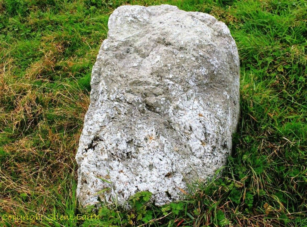 Templebryan stone circle 