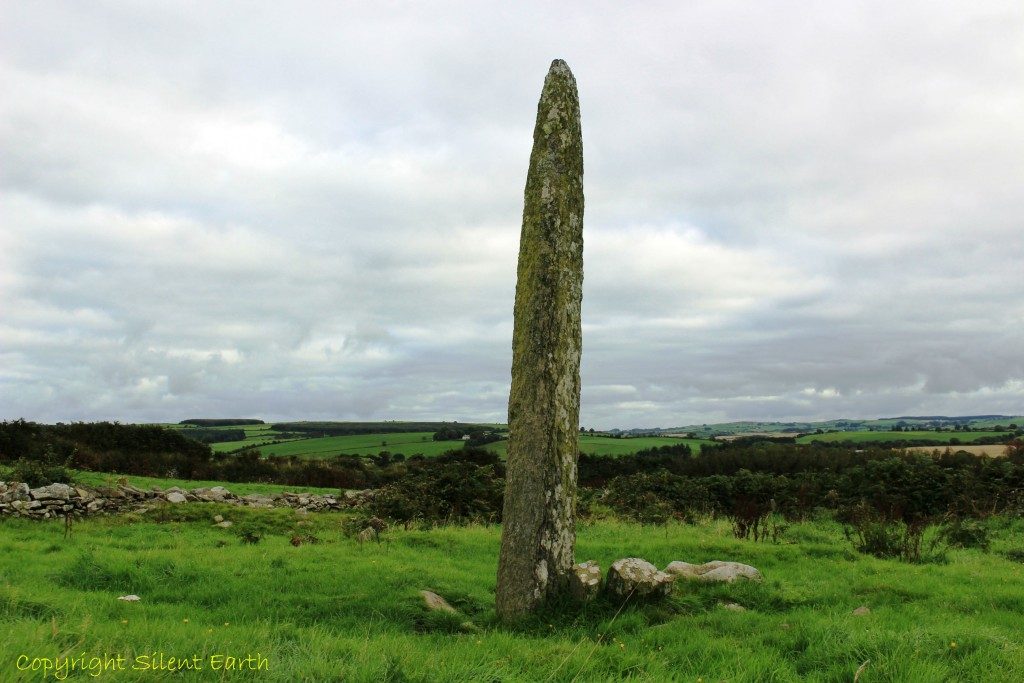 Templebrien ogham stone 