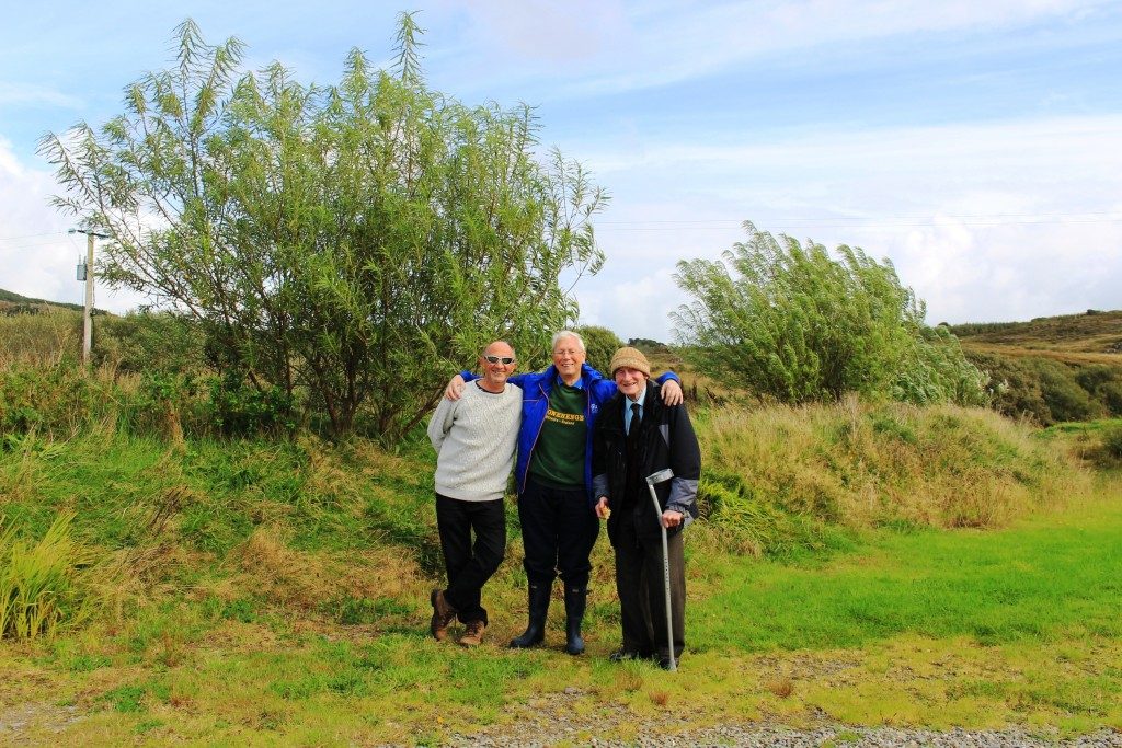 Stonehenge, Avebury and Drombeg Stone Circles Deciphered - A Review