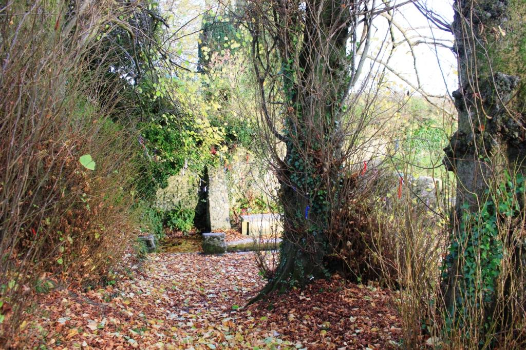 St Augustine's Well Cerne Abbas Dorset