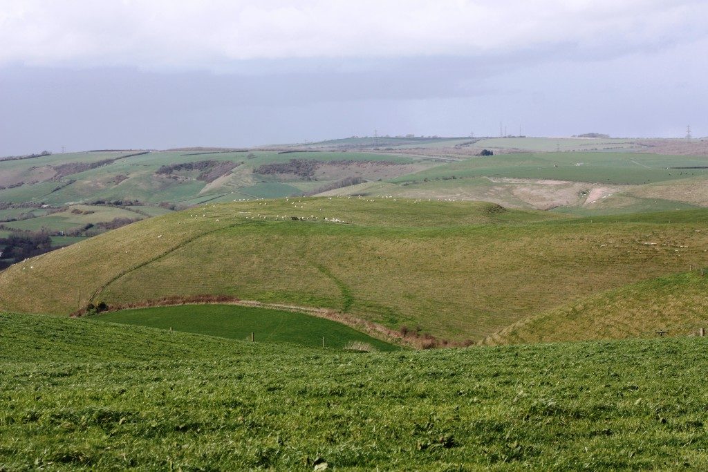 Old Warren earthwork Dorset