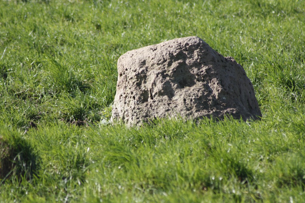 Broad Stone Stone Circle Dorset