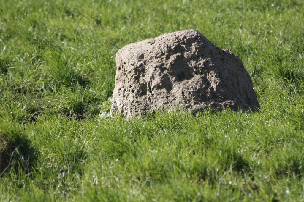 Broad Stone Stone Circle Dorset