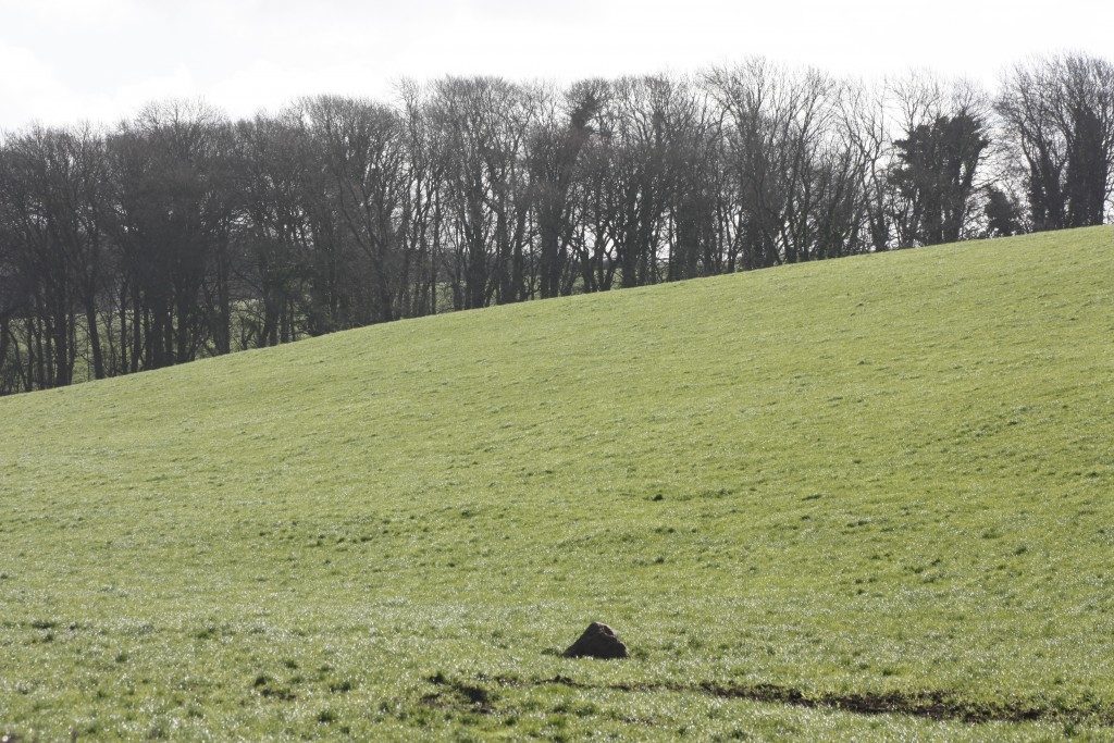 Broad Stone Stone Circle Dorset