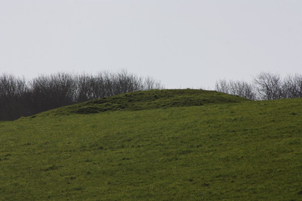 Broad Stone Stone Circle Dorset