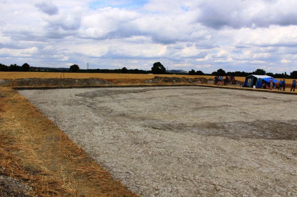 Cat's Brain Long Barrow Wiltshire