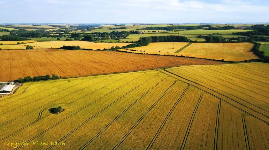 Cat's Brain Long Barrow Wiltshire