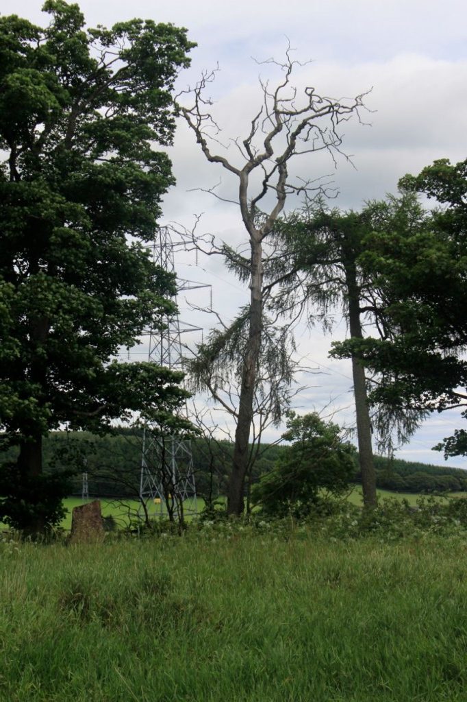 Sunhoney Recumbent Stone Circle