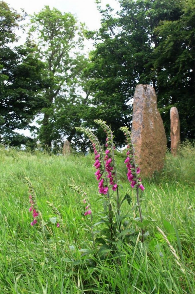 Sunhoney Recumbent Stone Circle