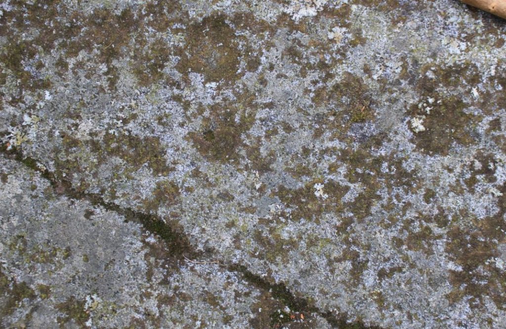 Sunhoney Recumbent Stone Circle