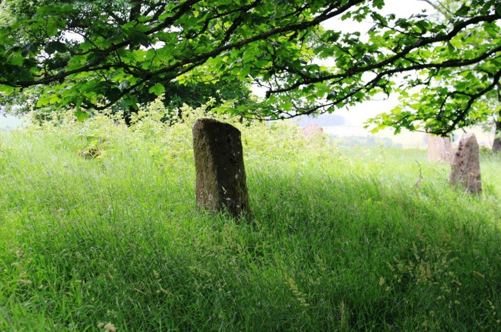 Sunhoney Recumbent Stone Circle