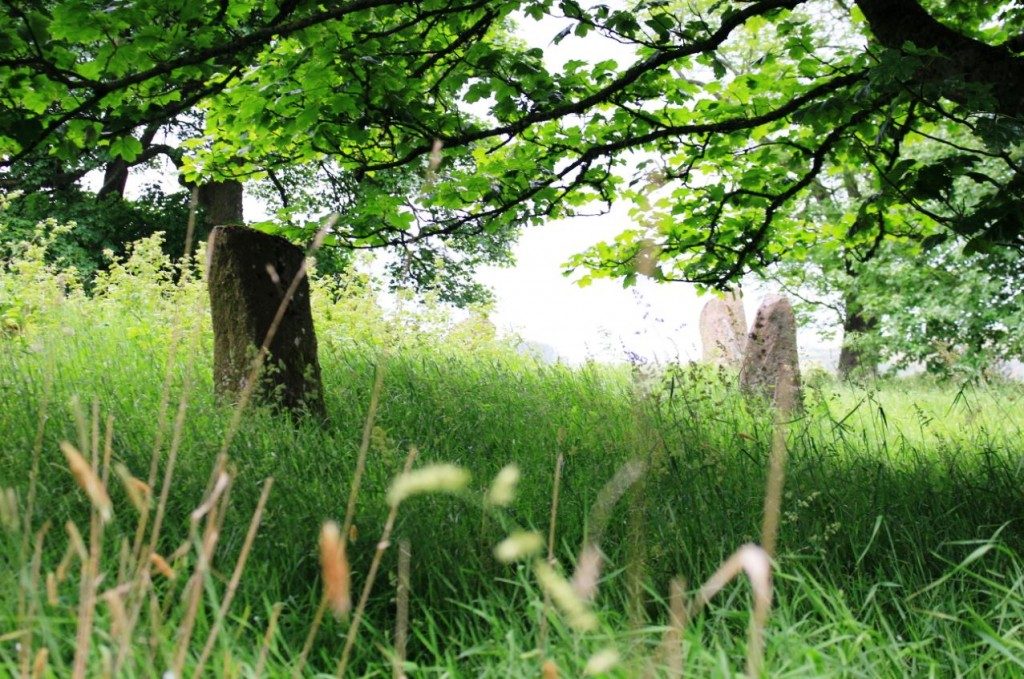Sunhoney Recumbent Stone Circle