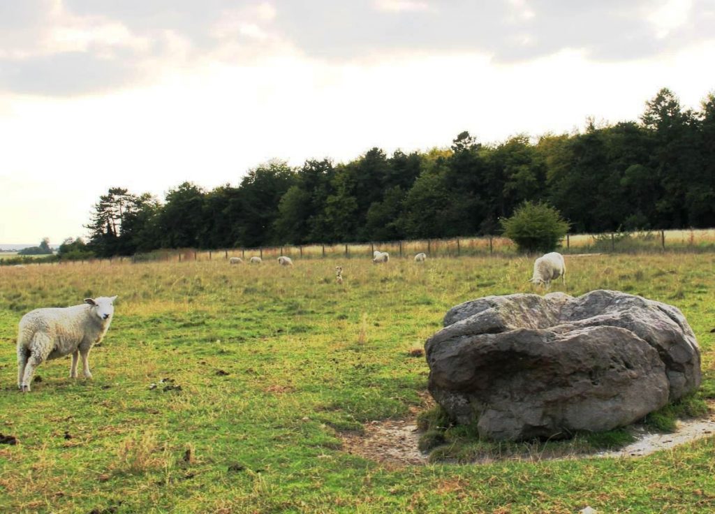 The Harrow Way and Stonehenge