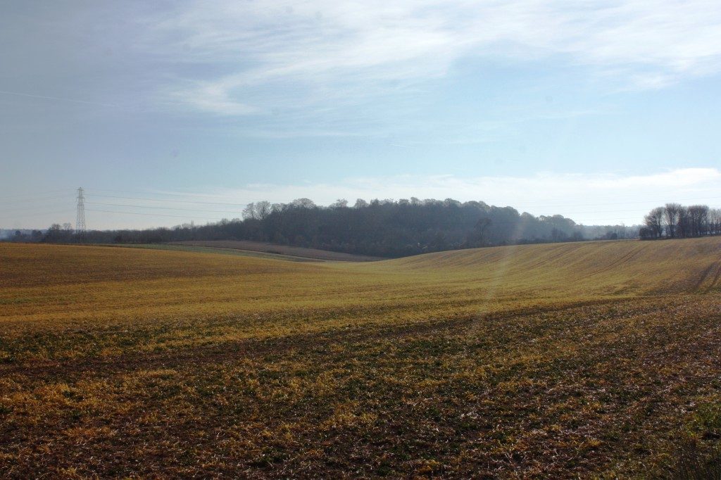 The Harrow Way and Stonehenge