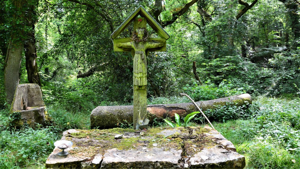 St Lukes Chapel Abbotsbury Dorset and a Golden Ringed Dragonfly